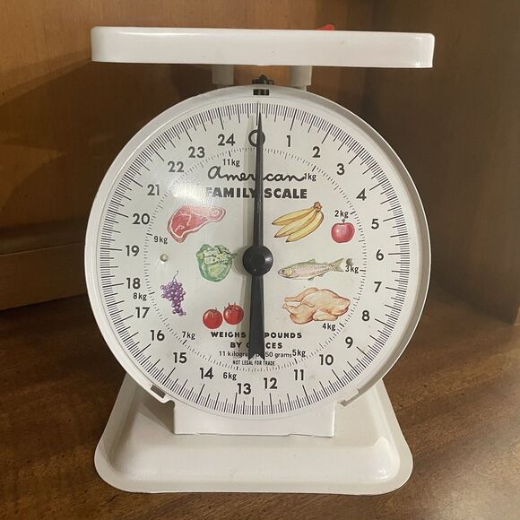 Vintage American Family Metal Kitchen Scale 25 Lb Original Box Farmhouse Canning - Picture 2 of 12
